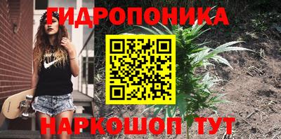 spice Кандалакша