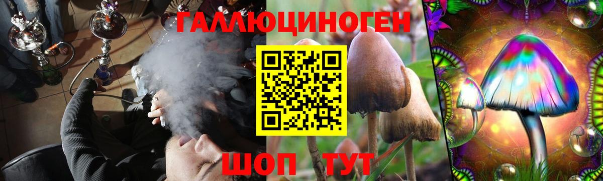Псилоцибиновые грибы мицелий Кыштым
